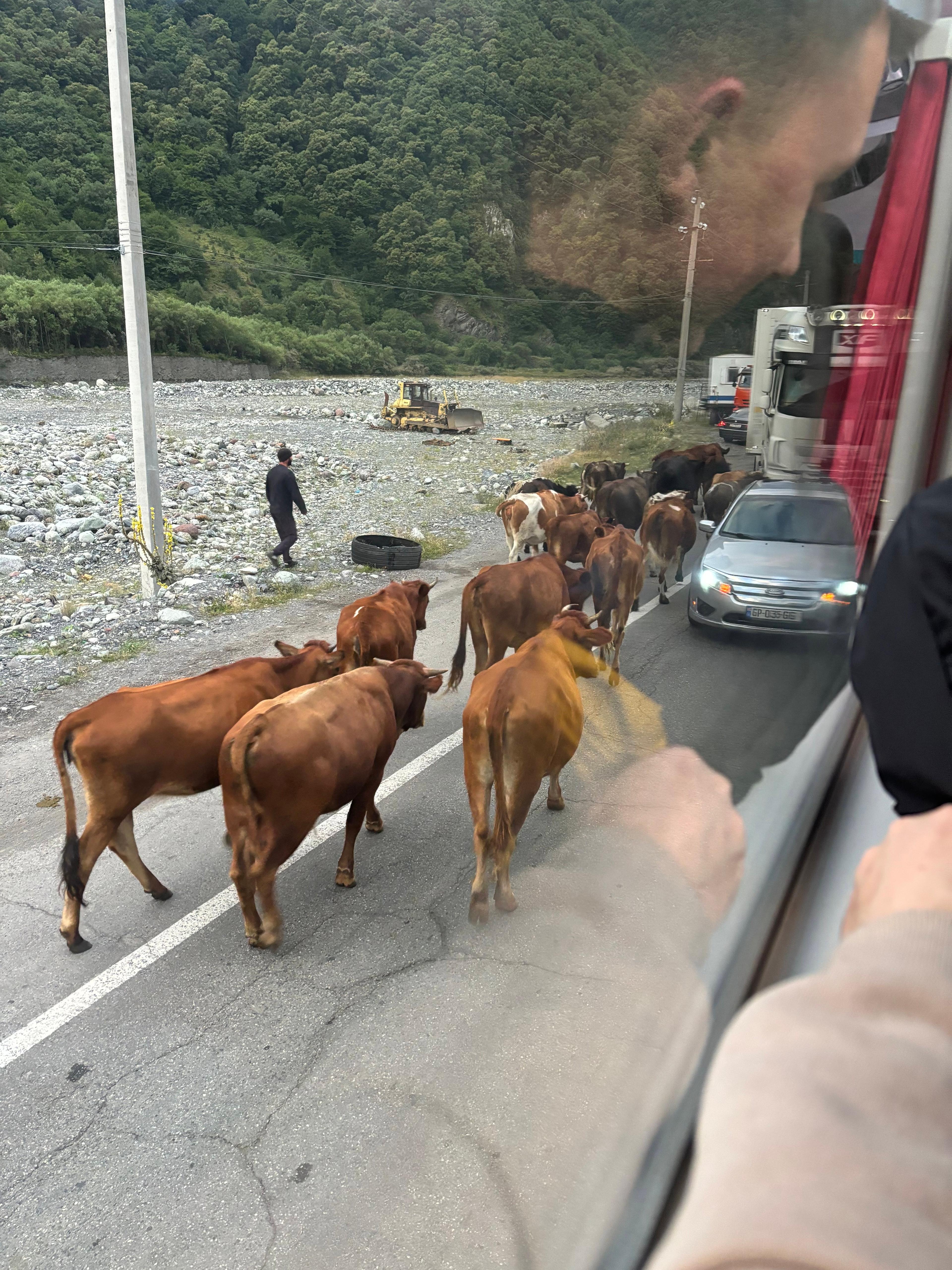 Georgia 🇬🇪🏔️