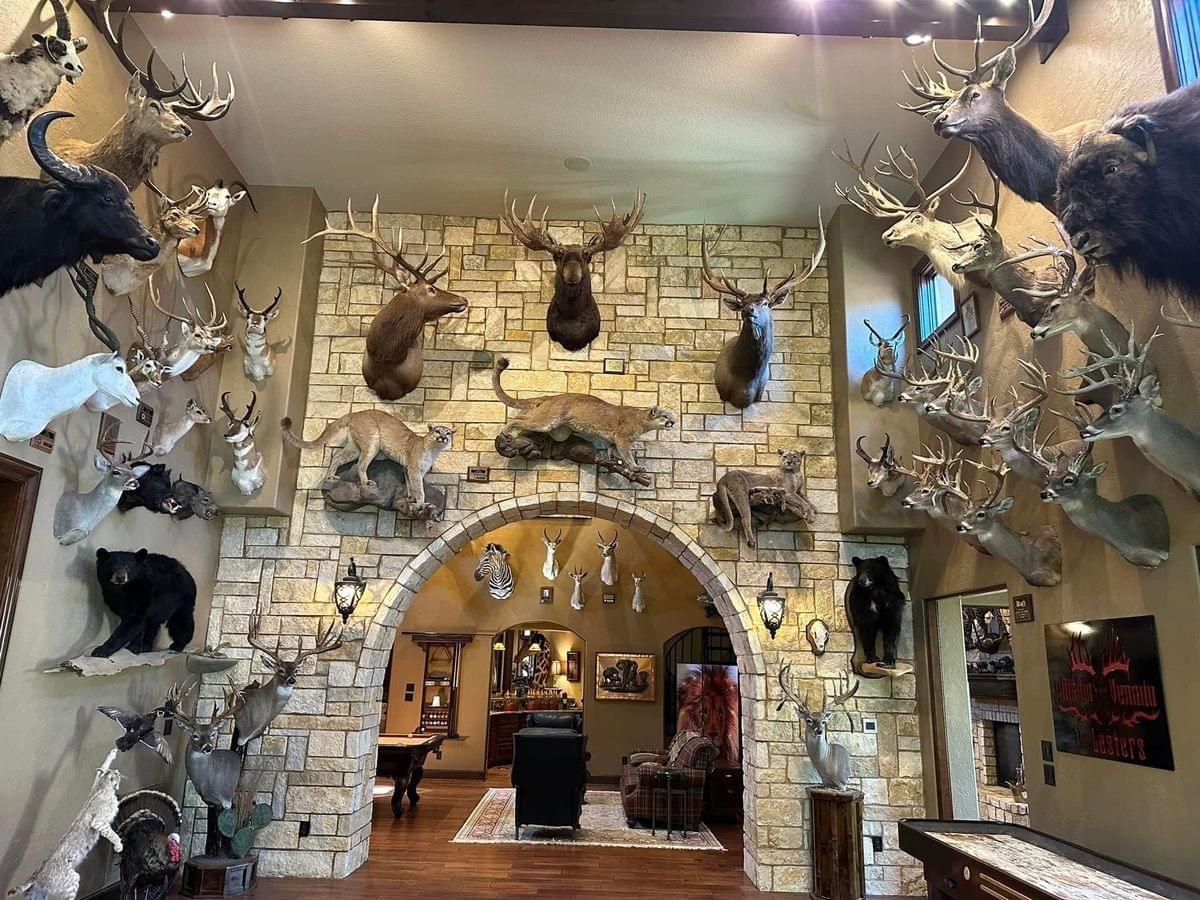 Animal Artistry - African Taxidermy - - Completed in 90 Days!