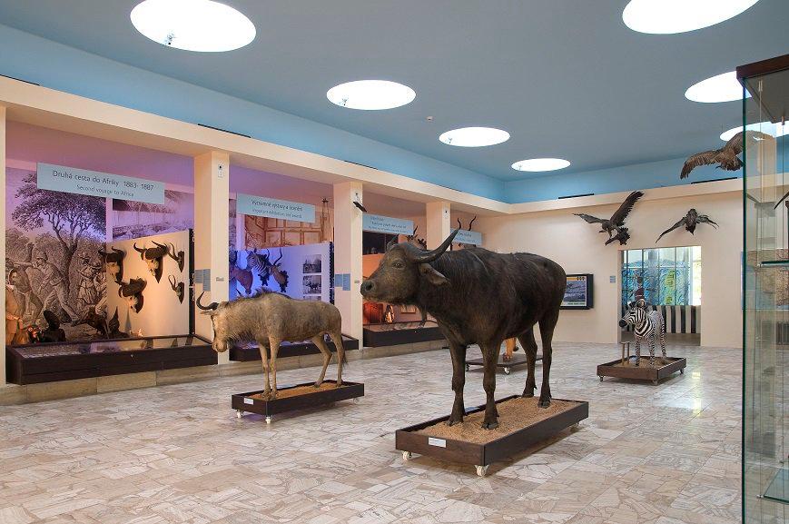 Africké muzeum lovu Dr.