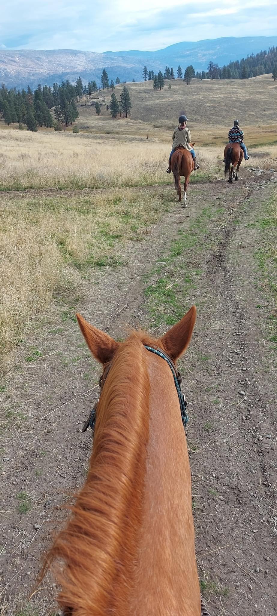 Trail Ride in Summerland BC Canada.