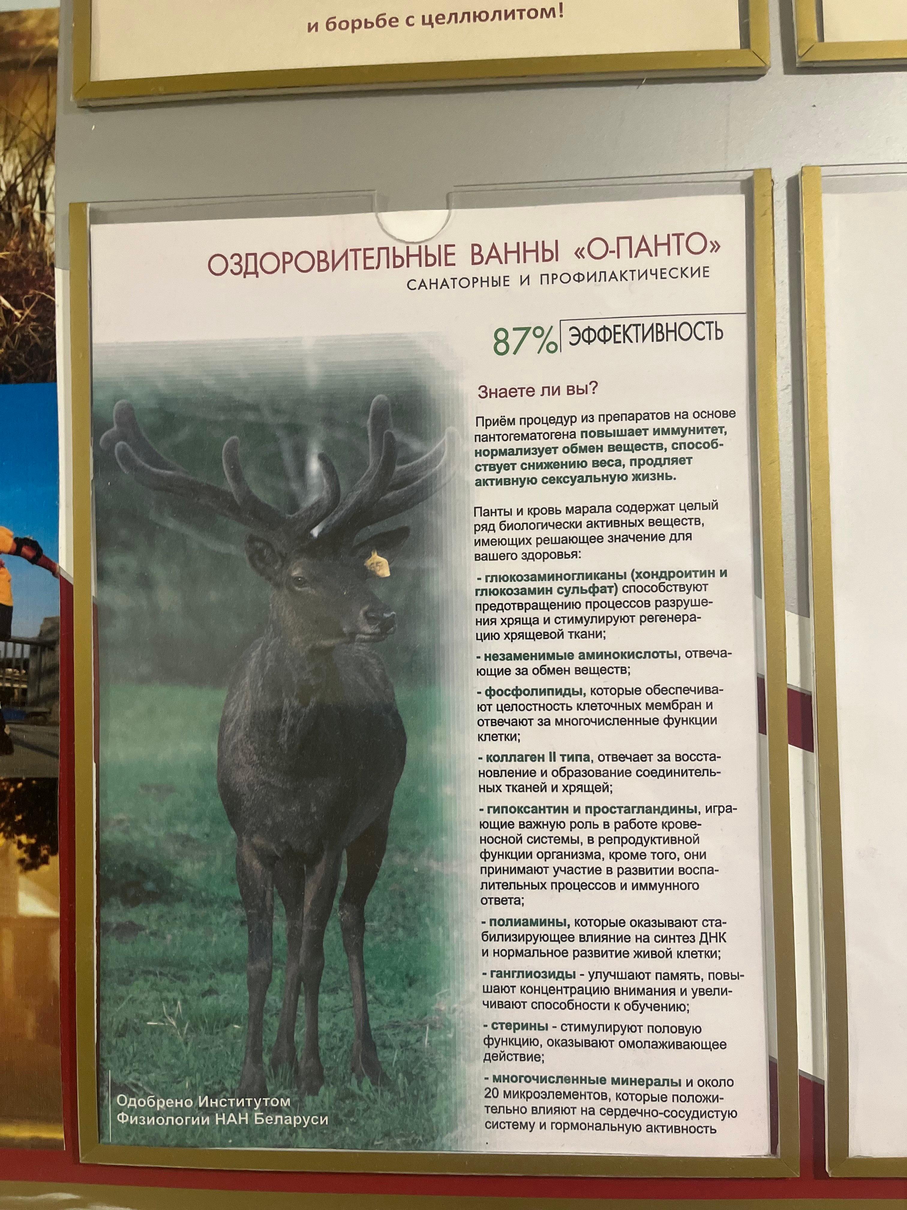 Ванны «О-Панто» – это простая и доступная процедура, при которой пациент погружается в воду с добавлением экстракта пантов – неокостеневших рогов благородные оленей.