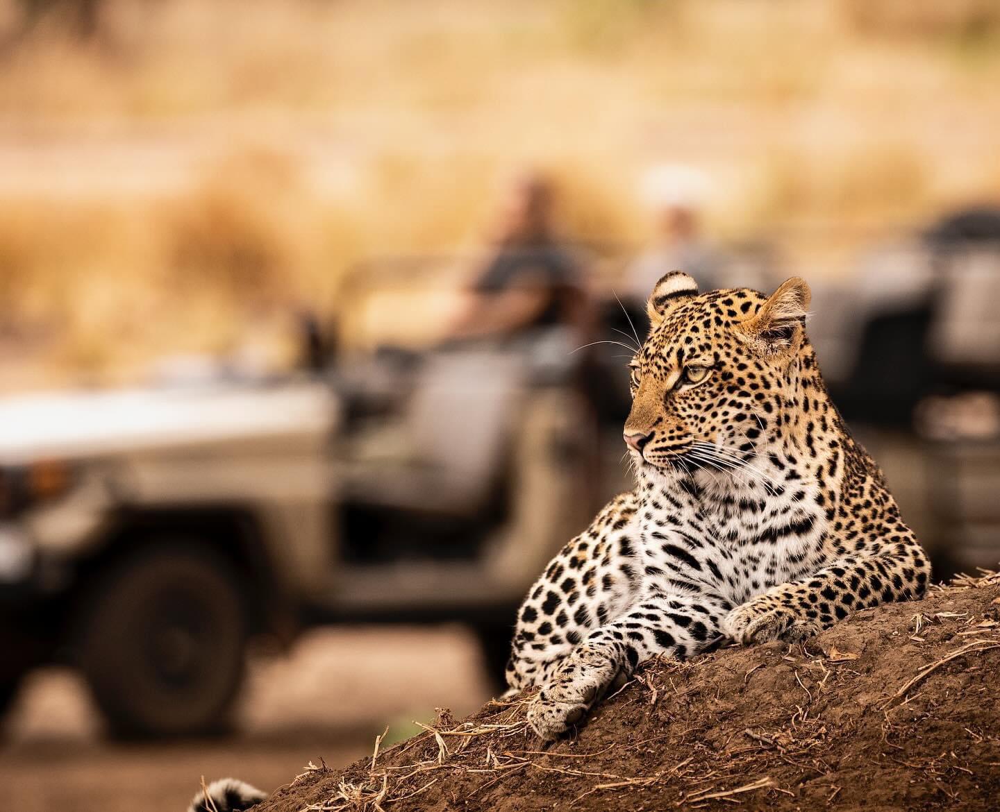 Africa’s favourite bushcamp, as voted by the readers of #travelafricamagazine.