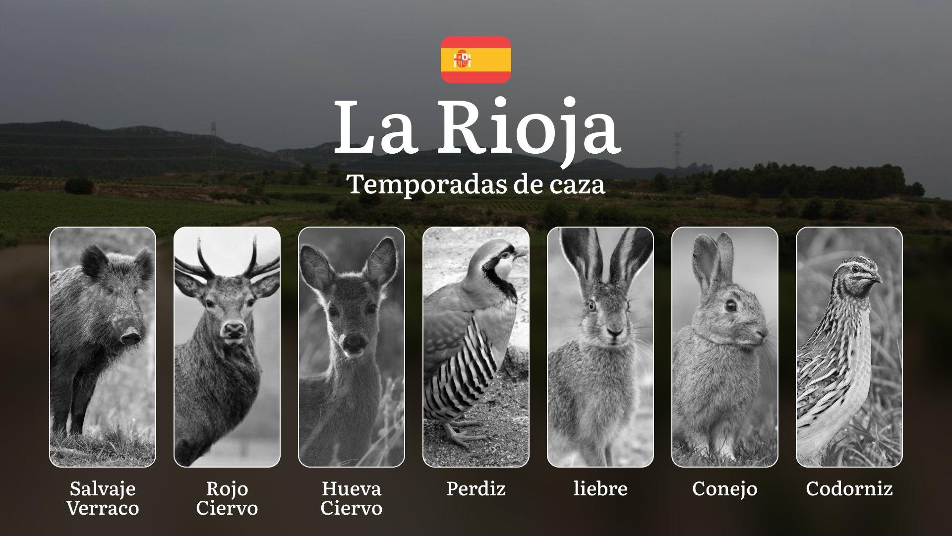 Caza en LA RIOJA: Temporadas y períodos de caza, Licencias y Mejores Zonas – Todo lo que Debes Saber para Disfrutar de la Caza Sostenible