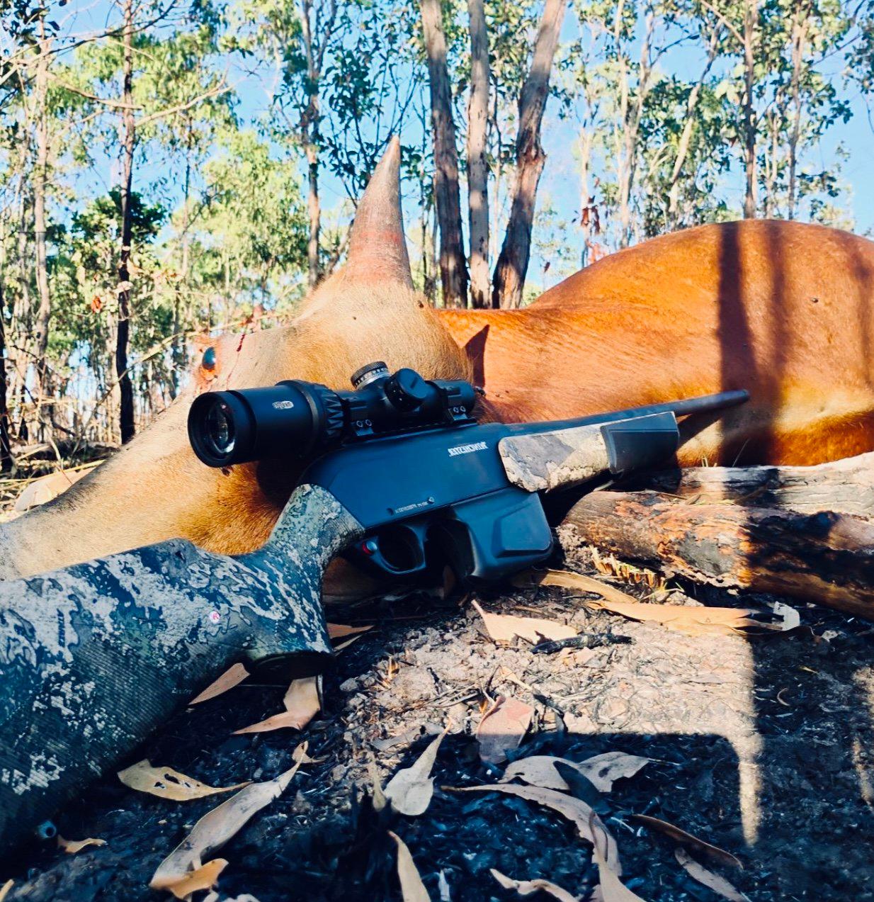Winchester SXR2 Pump Action Rifle: Review, Variants, Calibers, Price.