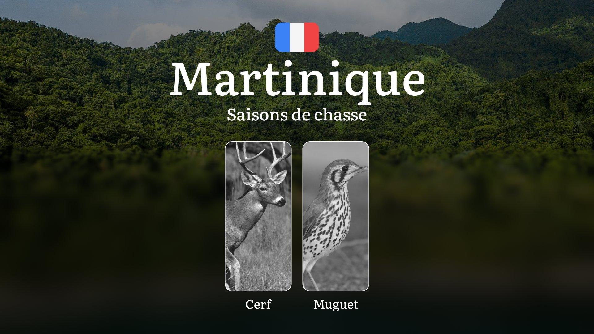 Saisons de Chasse en MARTINIQUE: Règles Générales, Calendrier de Chasse, Périodes Clés, Espèces Protégées et Obligations Légales