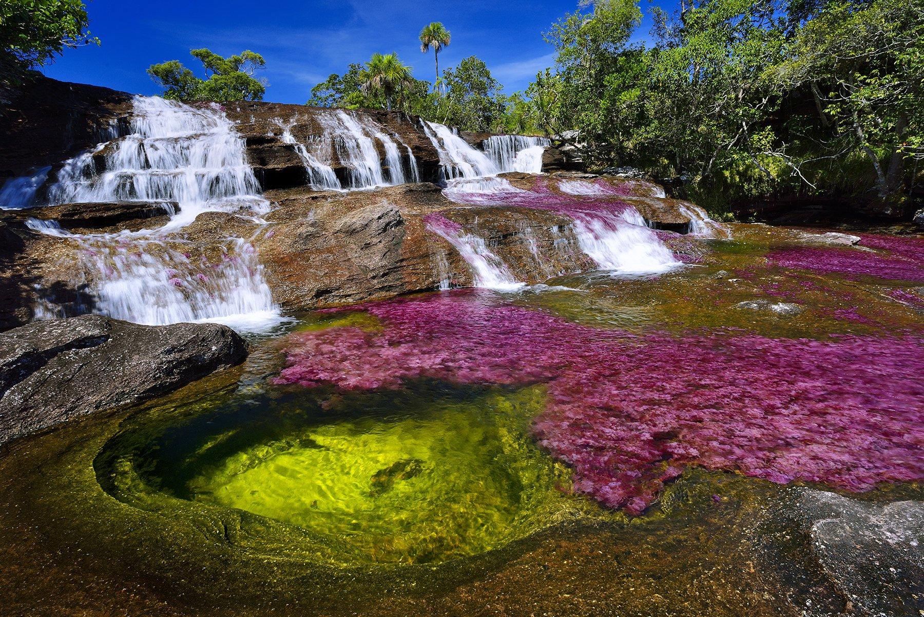 Caño Cristales, Colombia