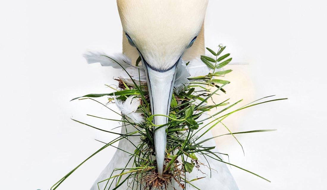 Winners of the 2024 Reflections of Nature Photo Contest.