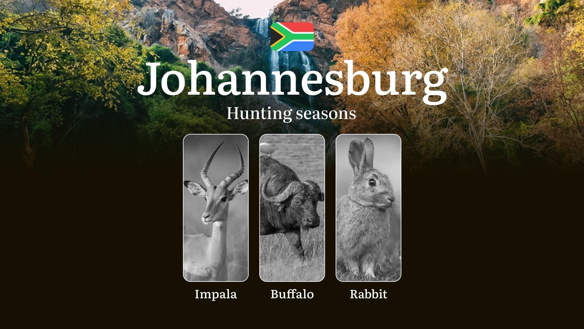 Hunting Time in Johannesburg: Hunting Dates and Seasons, Recommendations for Choosing Season, Tactics, and Equipment, Restrictions and Limits