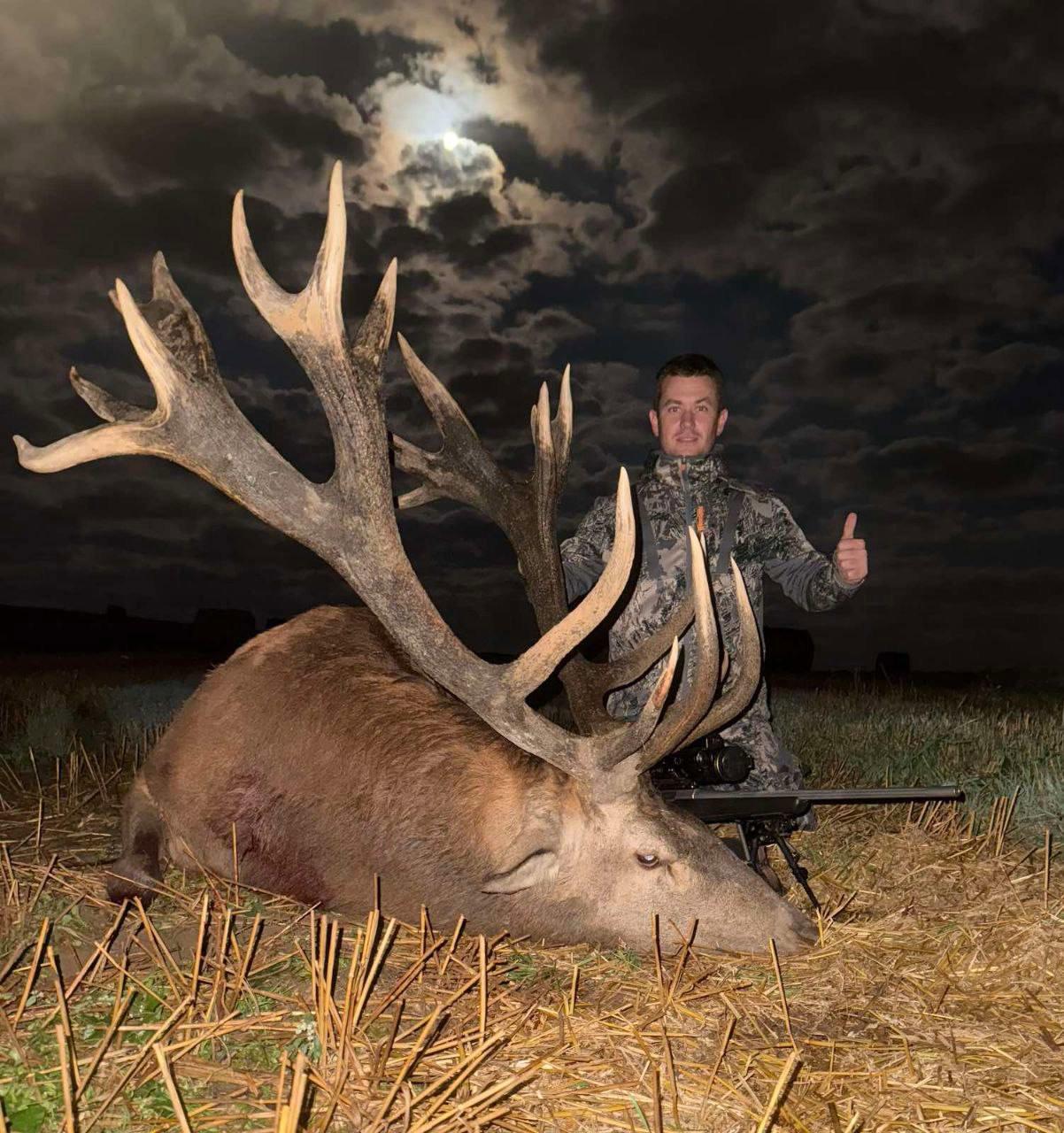 Red Deer Hunting in Belarus: Best Season, Prices, Methods & Trophy Info for Hunters.