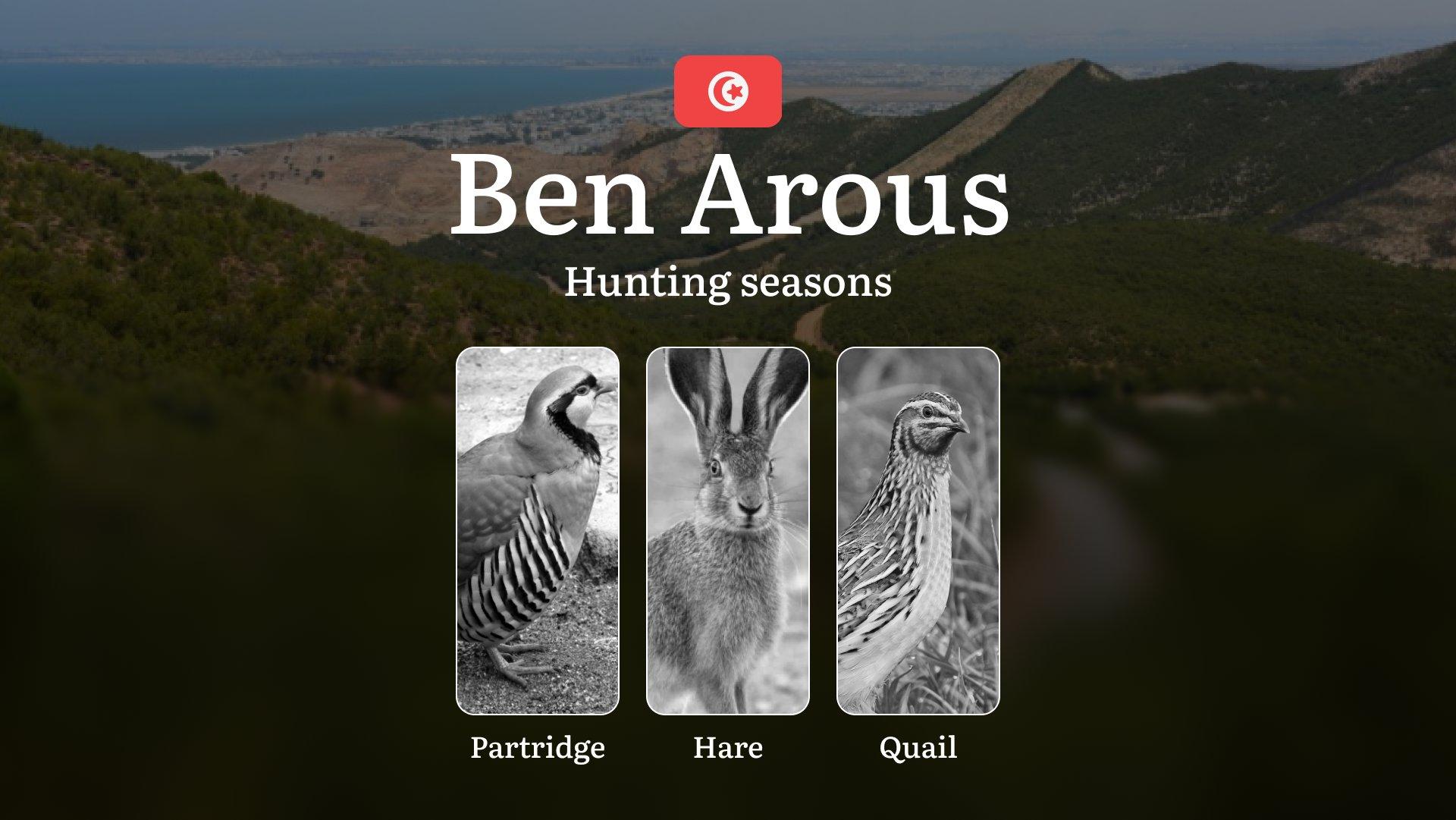 Hunting Seasons in BEN AROUS: Optimal Hunting Periods, General Rules, Game Activity, Protected Species, Obtaining a Hunting License, Restrictions and Practical Tips