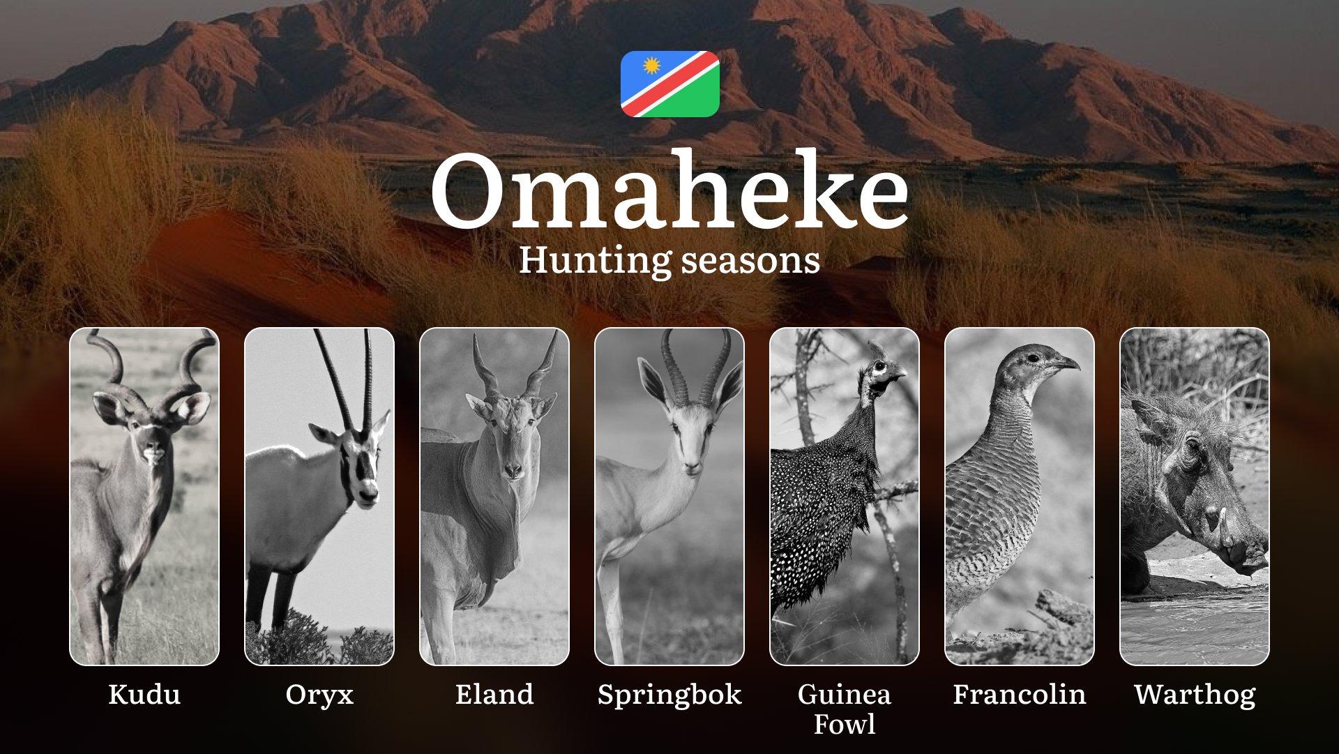 Hunting Seasons in Omaheke: Regulations, Licensing, Legal Risks, Planning, and Equipment Advice