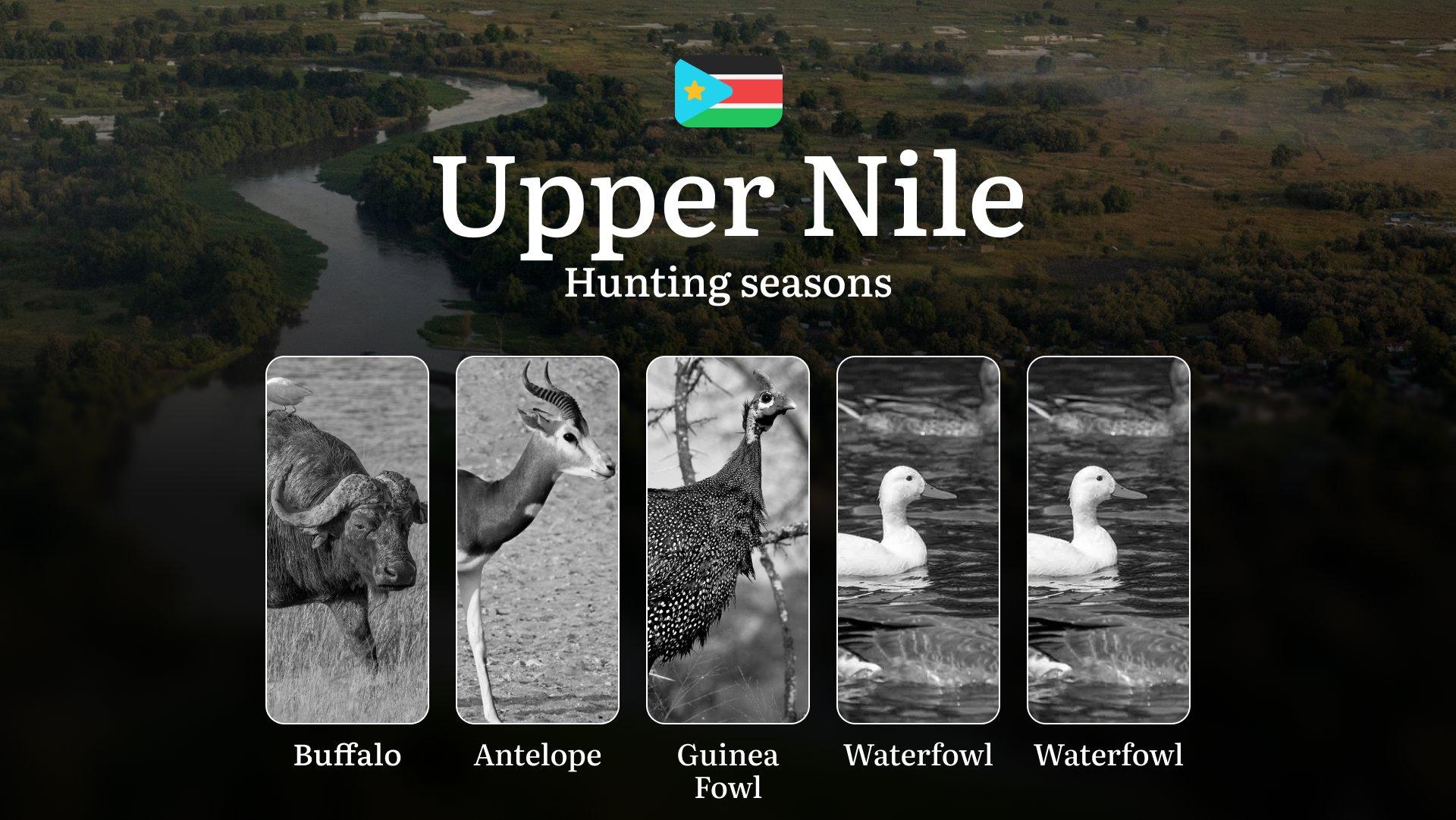 Upper Nile: Official Hunting Timeline, Prime Seasons for Big and Small Game, Organizations, Species and Season Bans, Recommendations