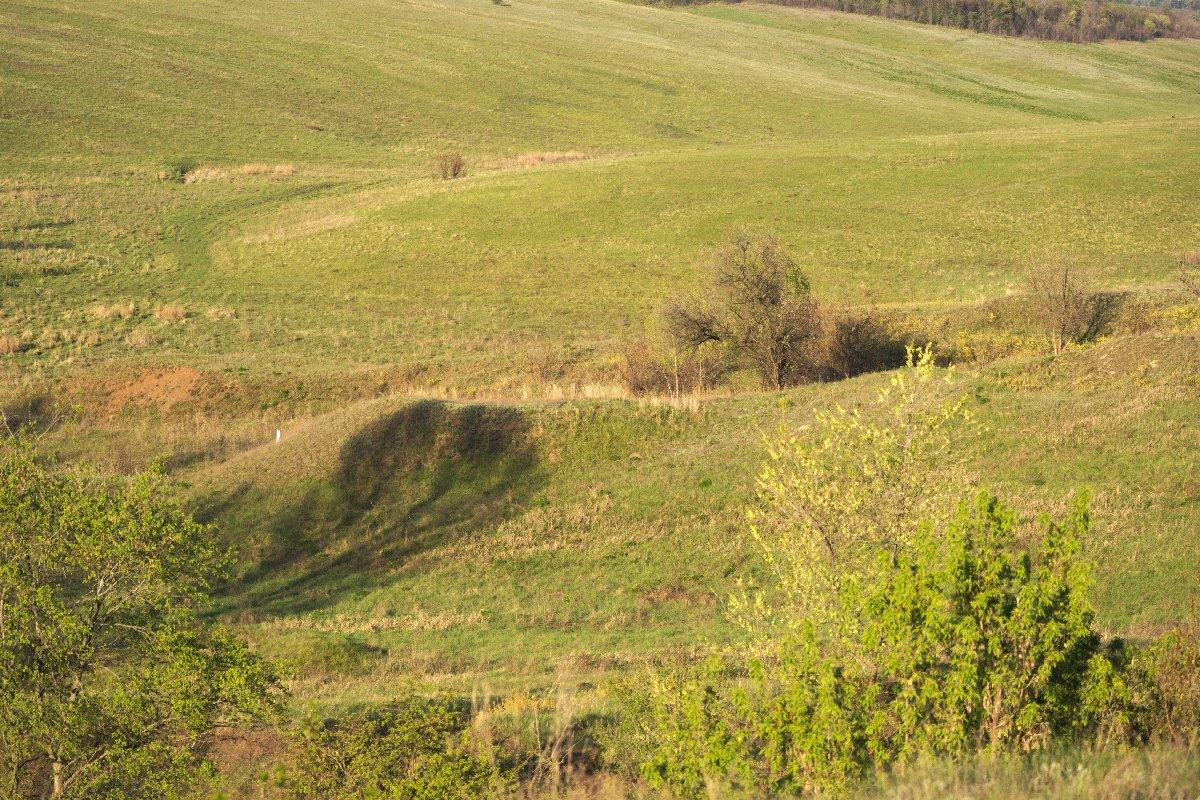 for meget længe siden, i den historiske fortid, var steppebobak murmeldyr en almindelig art for skovsteppe- og steppedelene af hele den russiske slette og Kasakhstan.