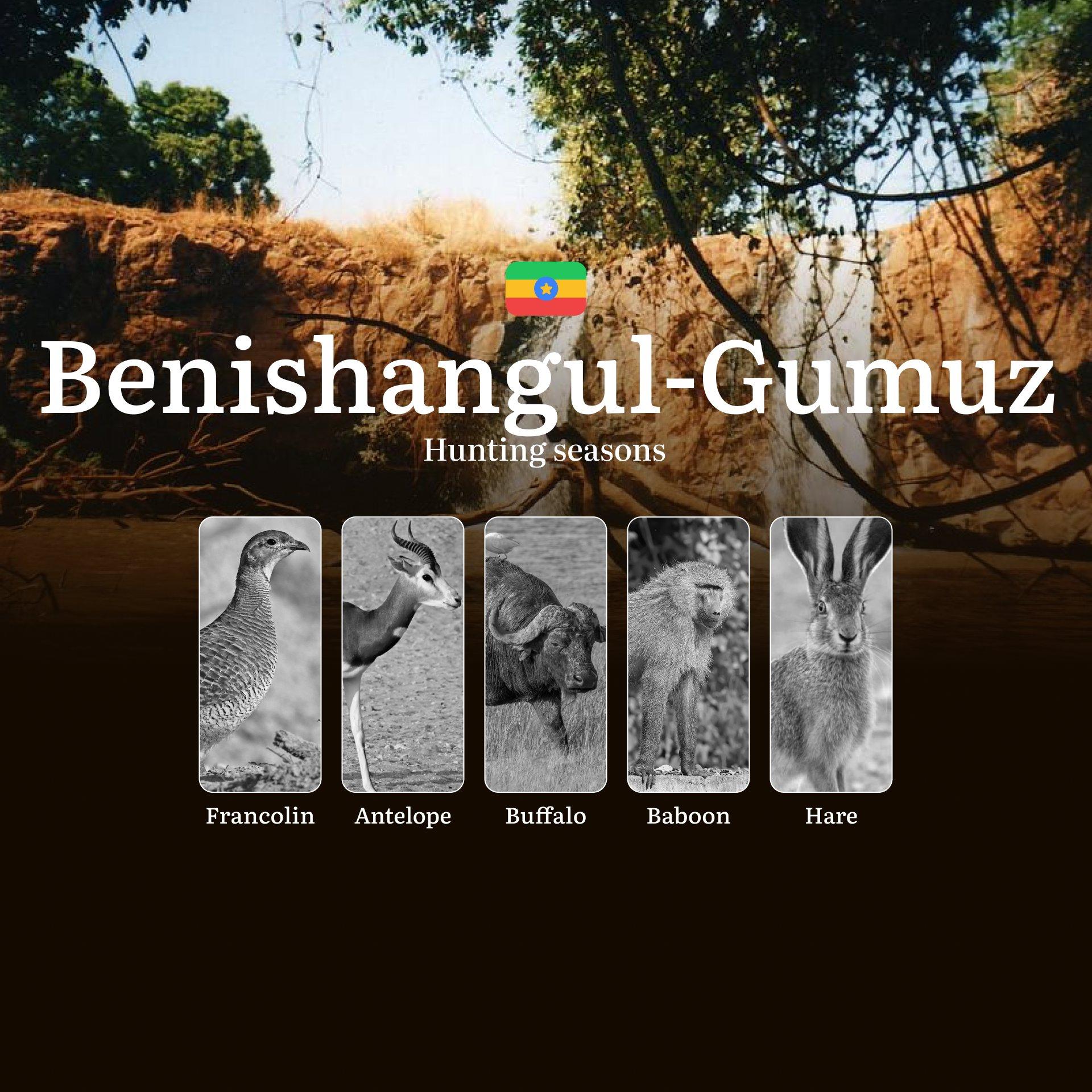 Ethiopia, BENISHANGUL-GUMUZ Region: Hunting Periods, Licenses, Rules, Bans, and Protected Species of Hunting