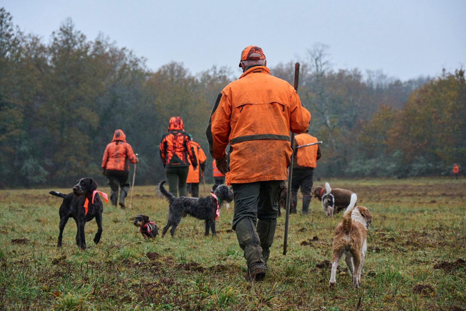 La chasse dans le VAL-DE-MARNE: Un territoire sans chasse mais ancré dans les réseaux cynégétiques franciliens et porteur d’une mémoire rurale