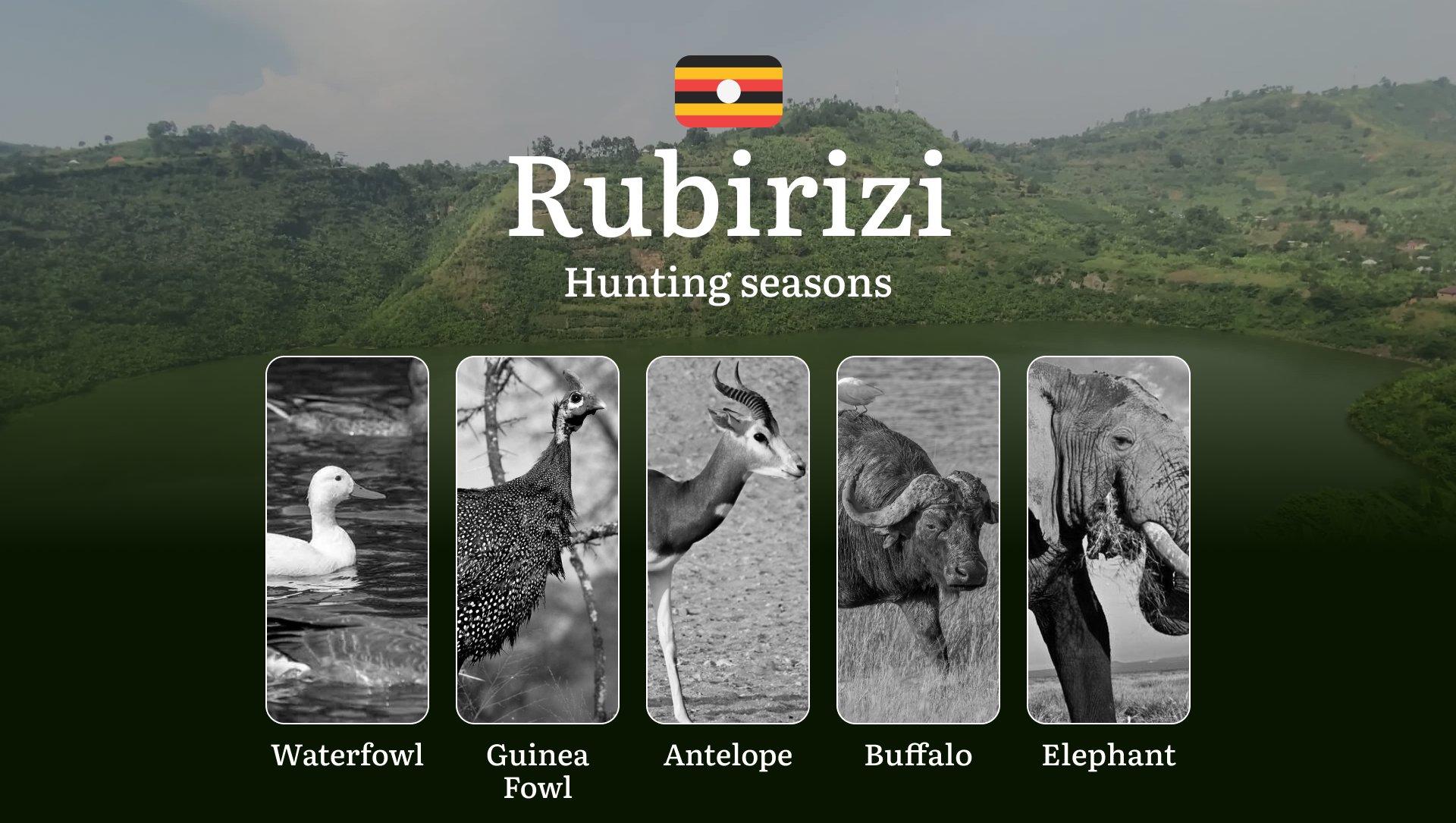 Permitted Hunting Intervals in Rubirizi: Year-Round Huntable Wildlife, Seasonal Migration of Game, and the Process for Securing a Legal Hunting Permit