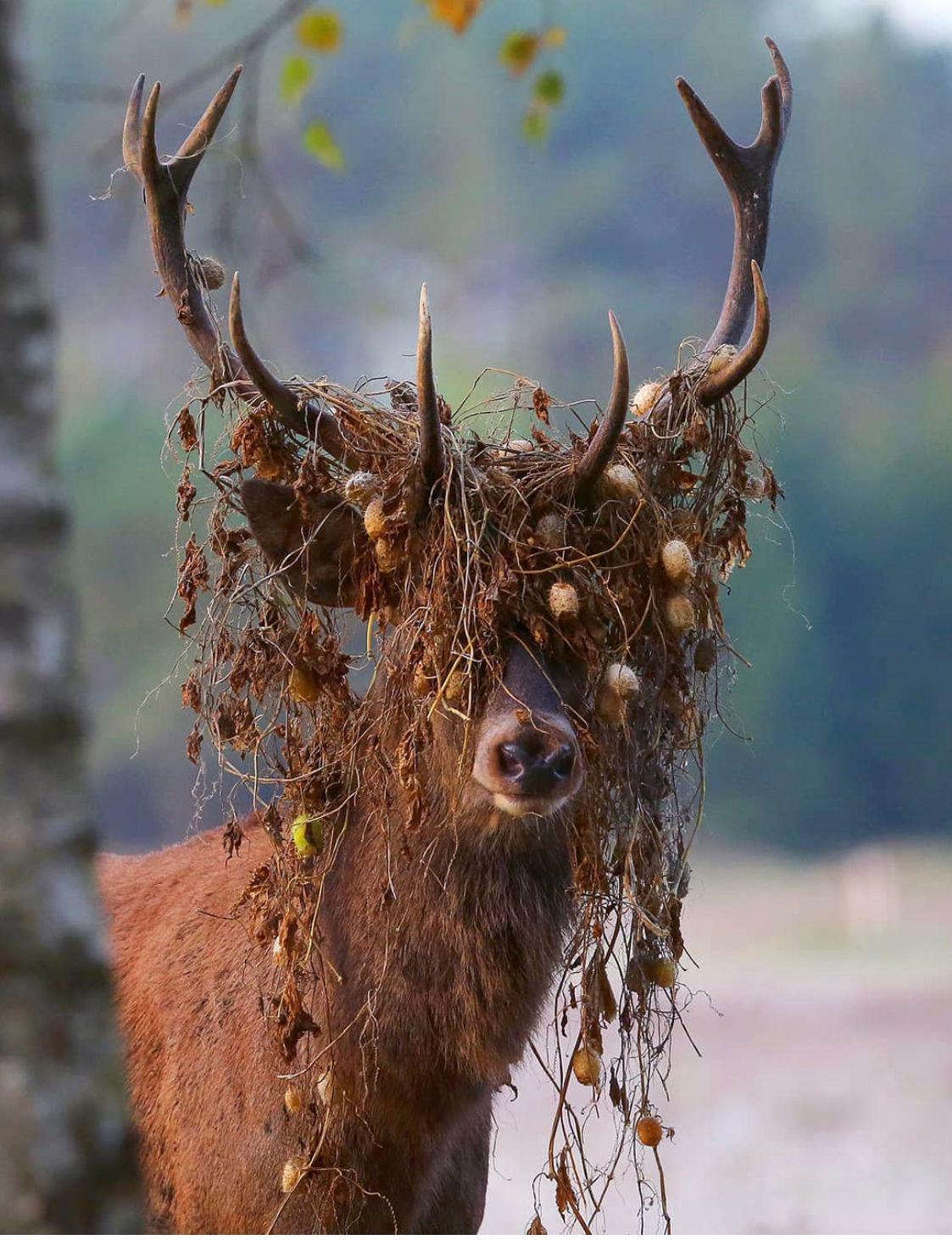 📸 Photo by Rafał Łapiński