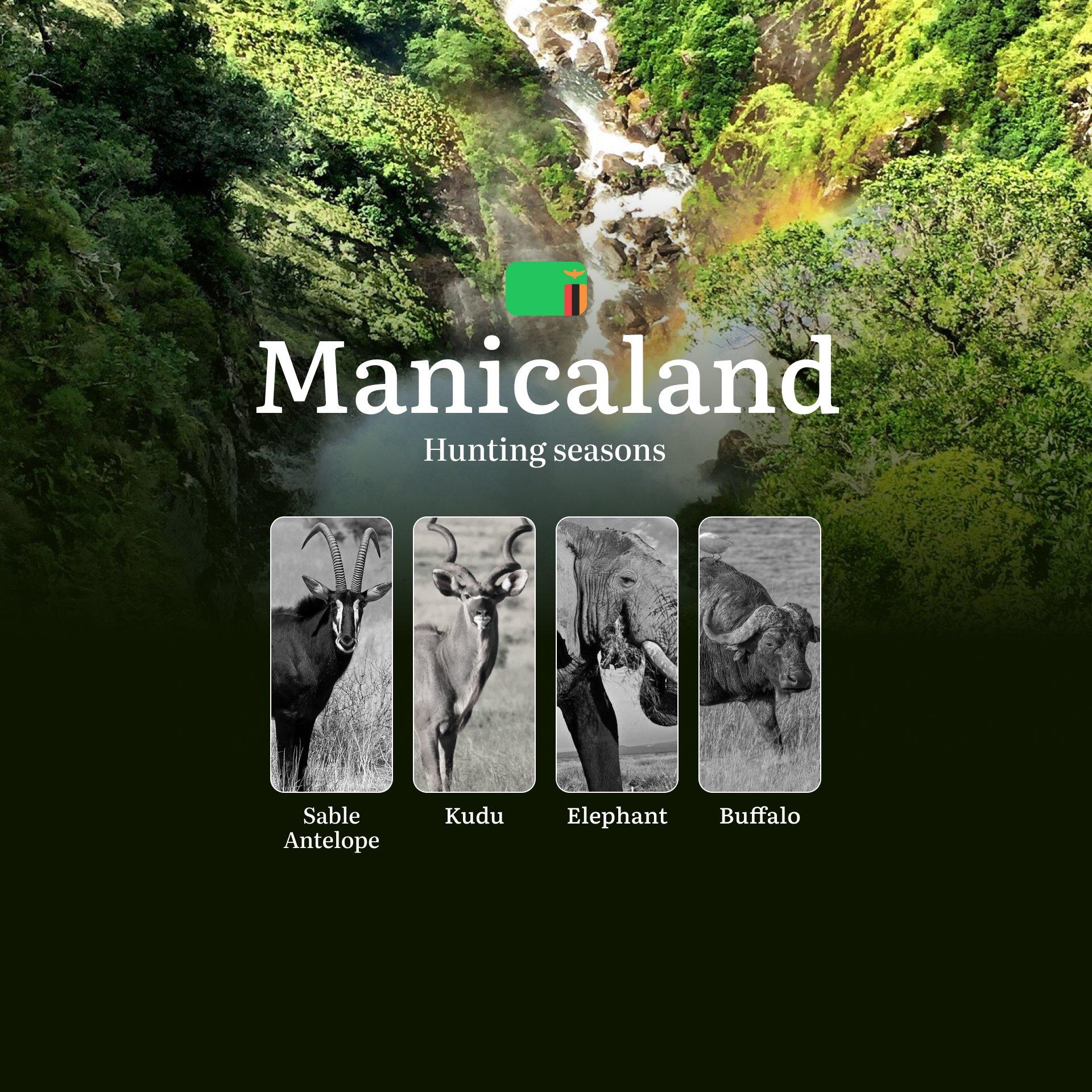 From Highland Mist to Lowland Rivers: Decoding Manicaland's Split Hunting Seasons and Events
