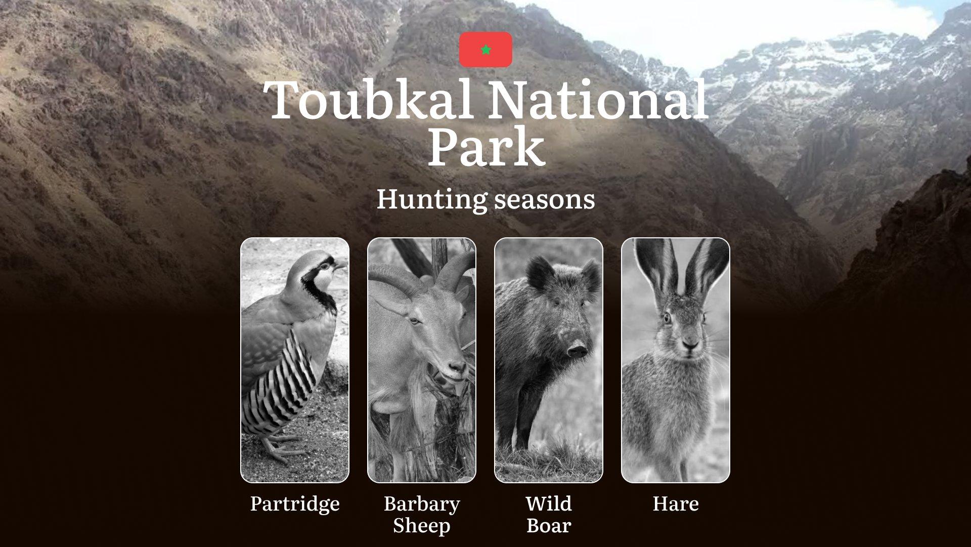 Hunting Dates in Toubkal National Park: Seasonality of Hunting, Timing and Regulations, Hunting Permits, Restrictions and Prohibitions