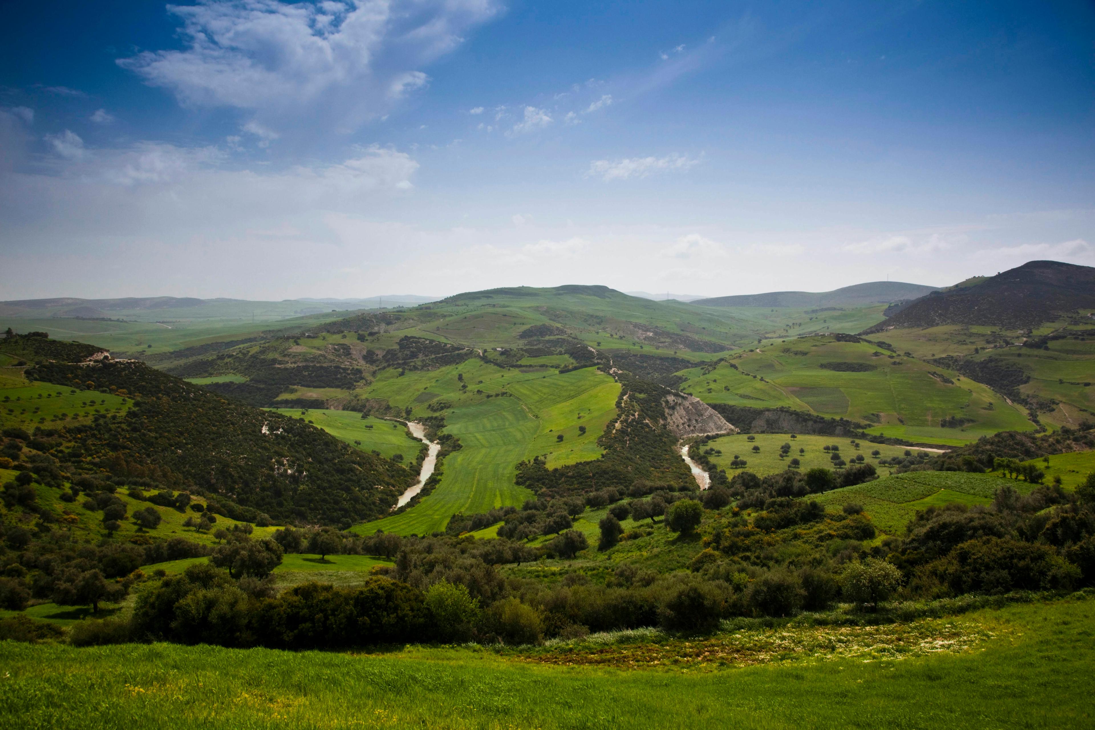 Field Tracking in GABÈS: Hunting Legislation, Laws, Demographics and Hunting Seasons in Tunisia
