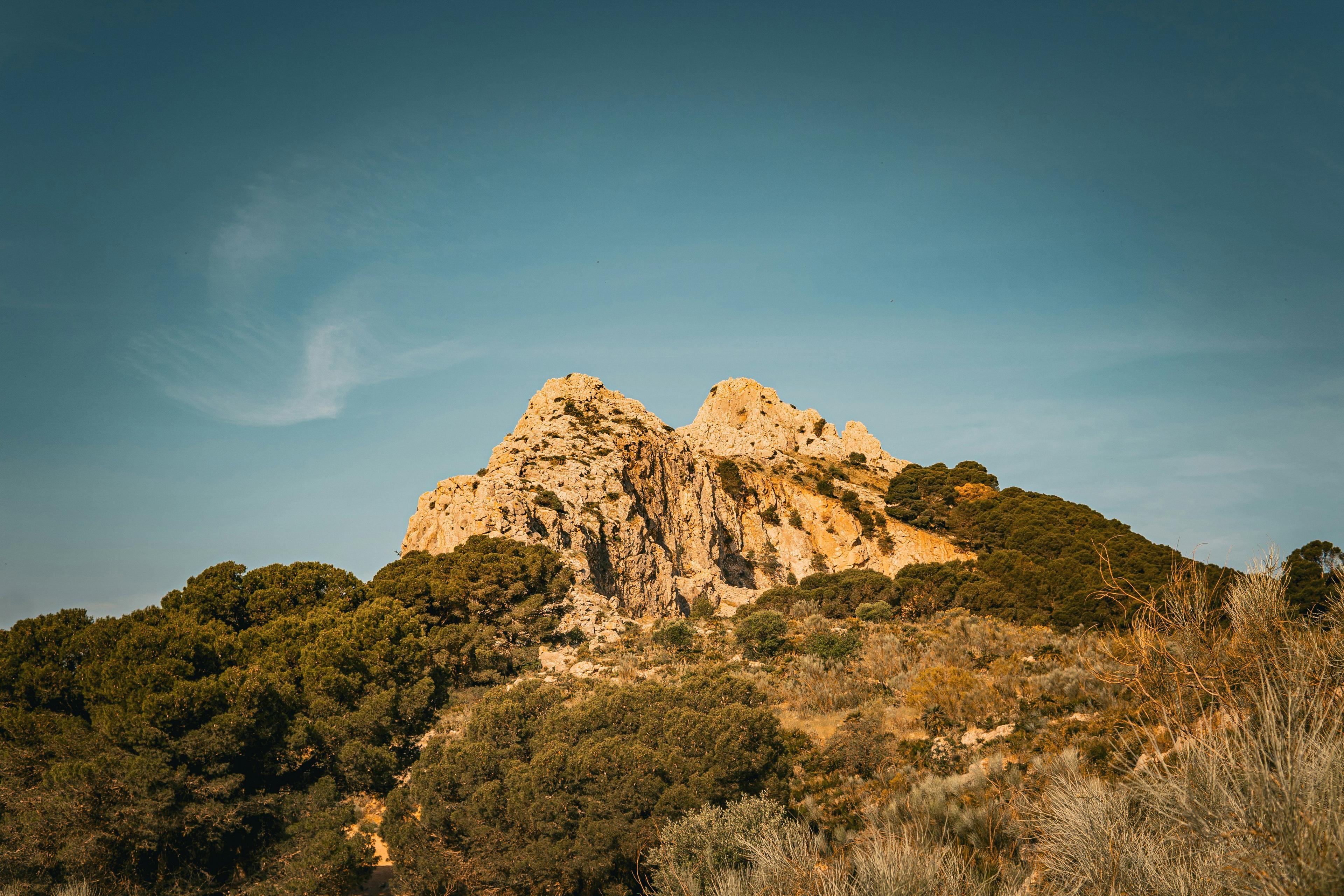 Caza en Navarra: Caza Responsable en los Pirineos Occidentales con una Combinación de Naturaleza Salvaje y Normativas Modernas