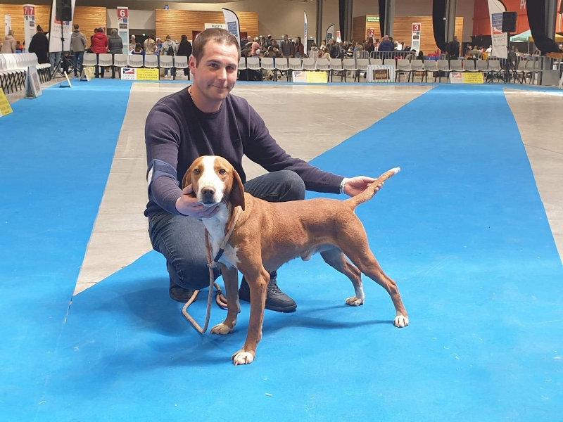 À réserver chiots posavatz nés le 18 03 23 il reste 2 femelles et 5 mâles sur une portée de 12.
