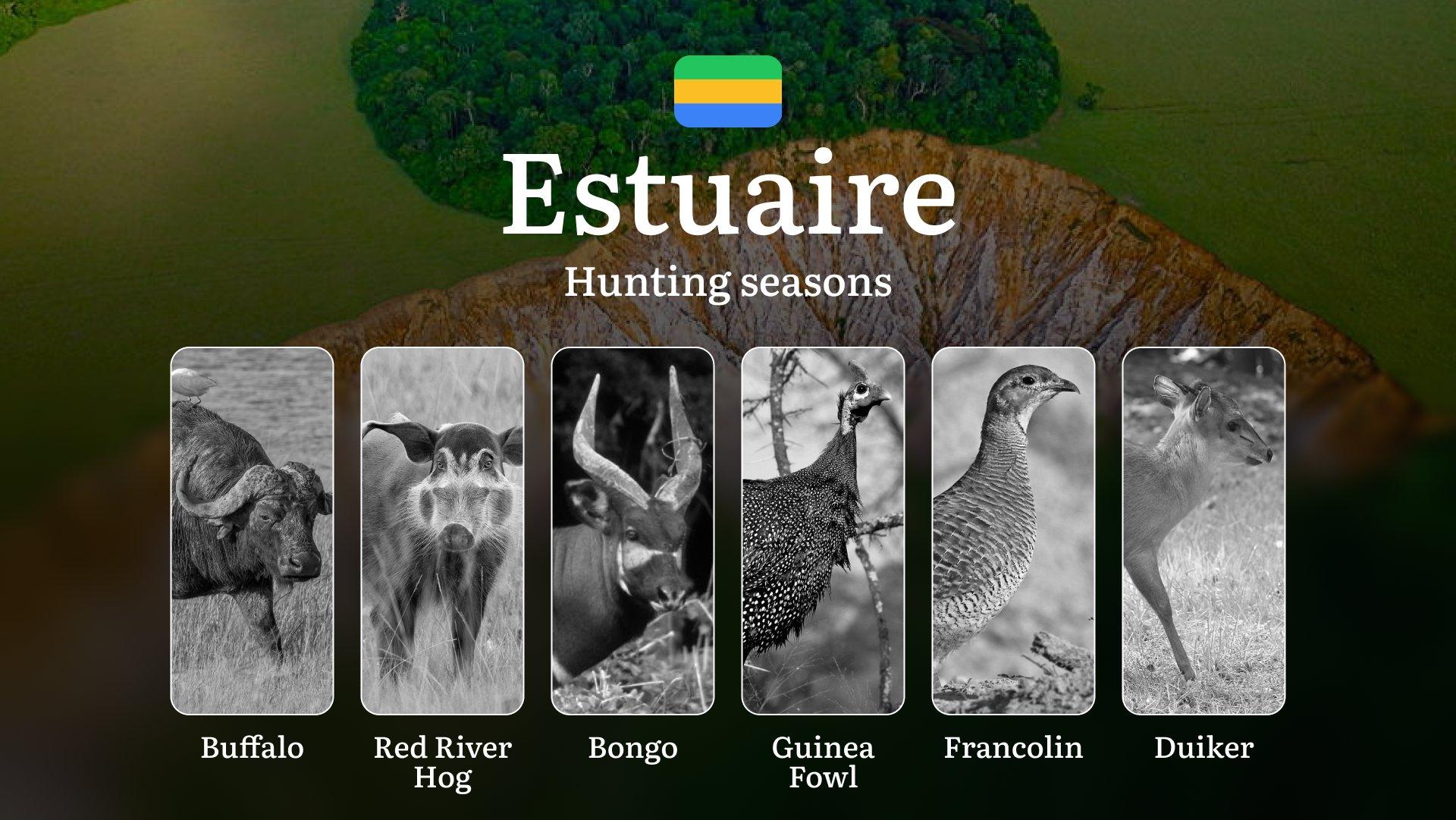 Hunting Seasons in ESTUAIRE: Mandatory Hunting Permits, General Regulations, Game Variations, Legal Restrictions & Key Season Rules