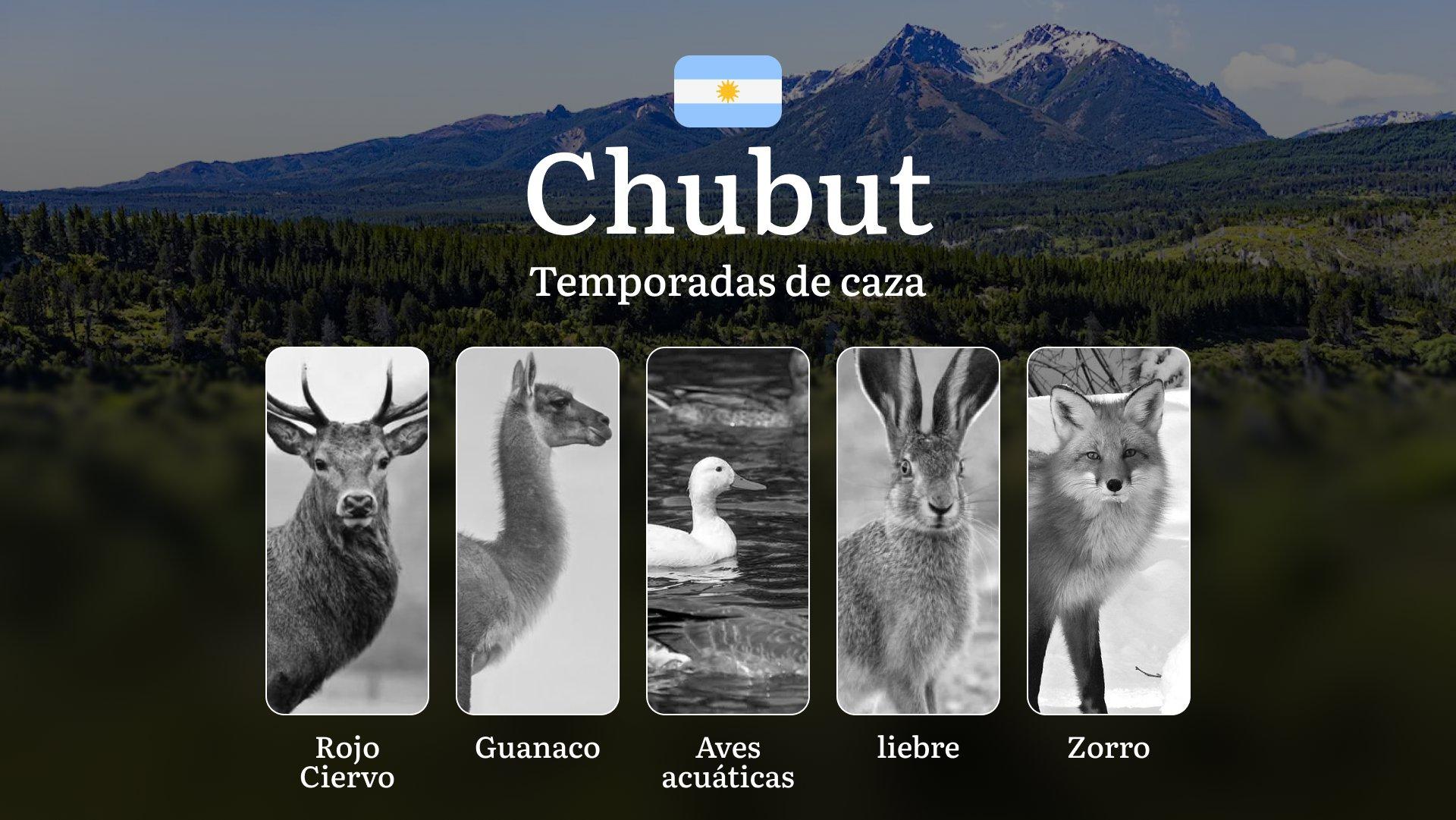 Chubut: fechas de caza, regulaciones y mejores épocas para la caza, temporadas, clima y cambios históricos