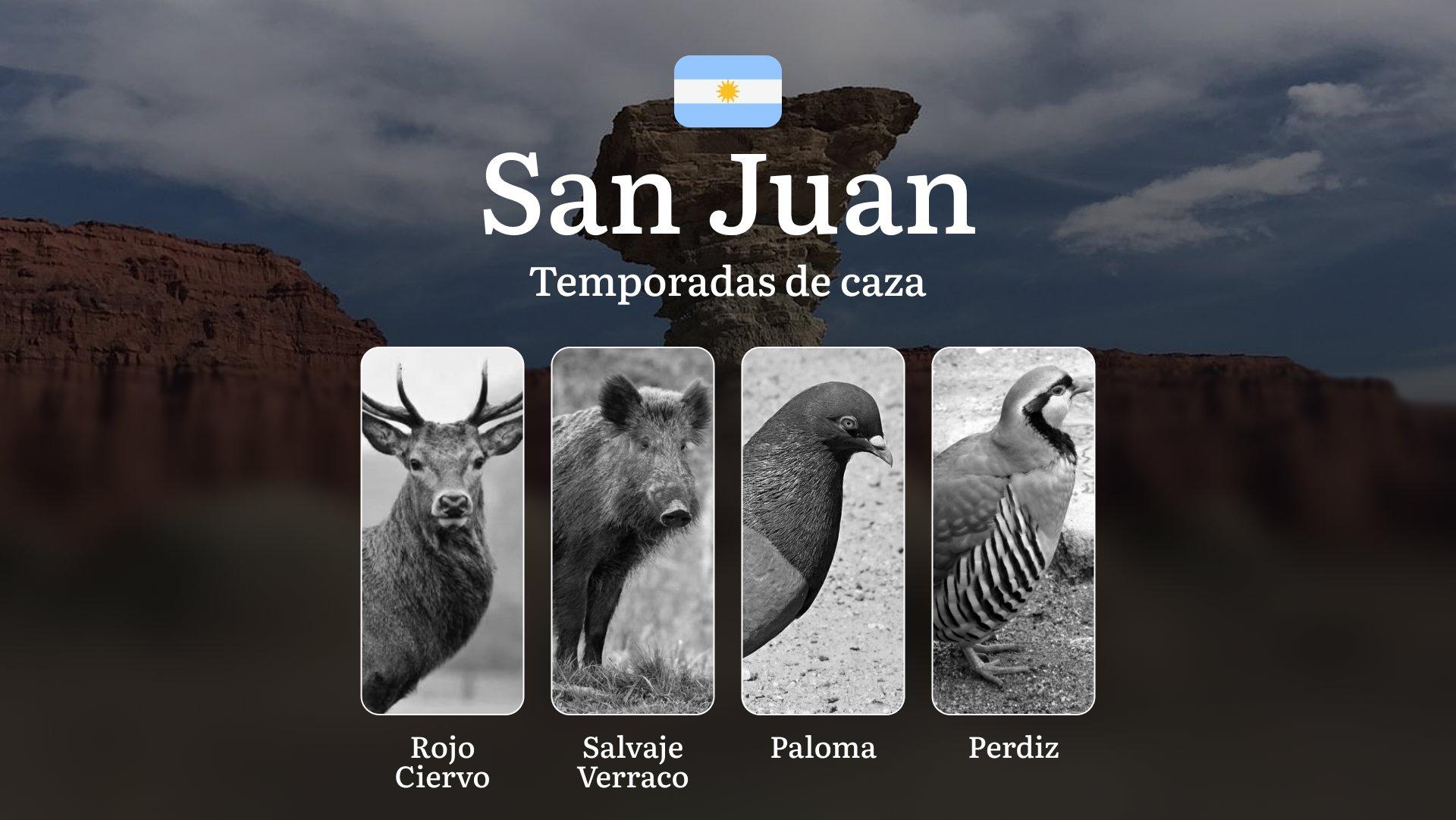 Mejores épocas para la caza, temporadas y normas de caza en San Juan: fechas, reglas, estacionalidad y actividad de la caza
