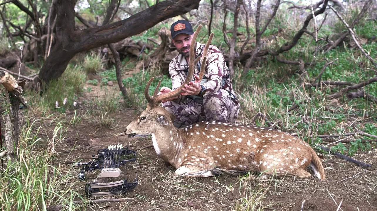 Remi Warren is one of the most famous solo hunters in the world