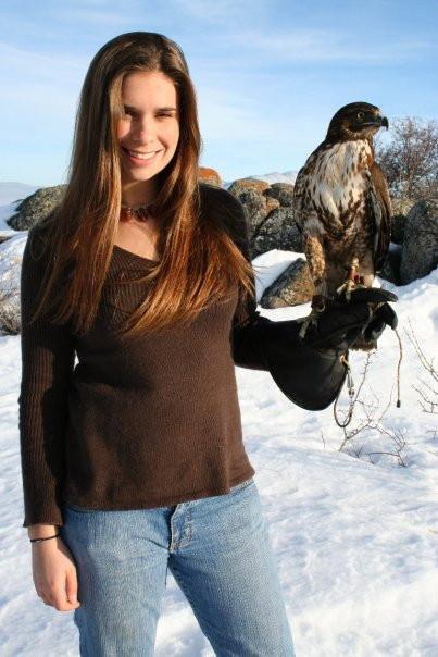 Hunting with Hawks