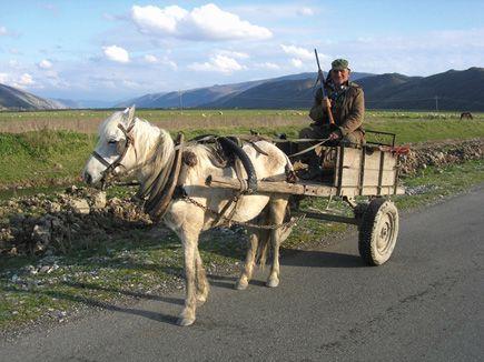 Albania's Hunting Ban: Birds and Mammals Get a Two-Year Break