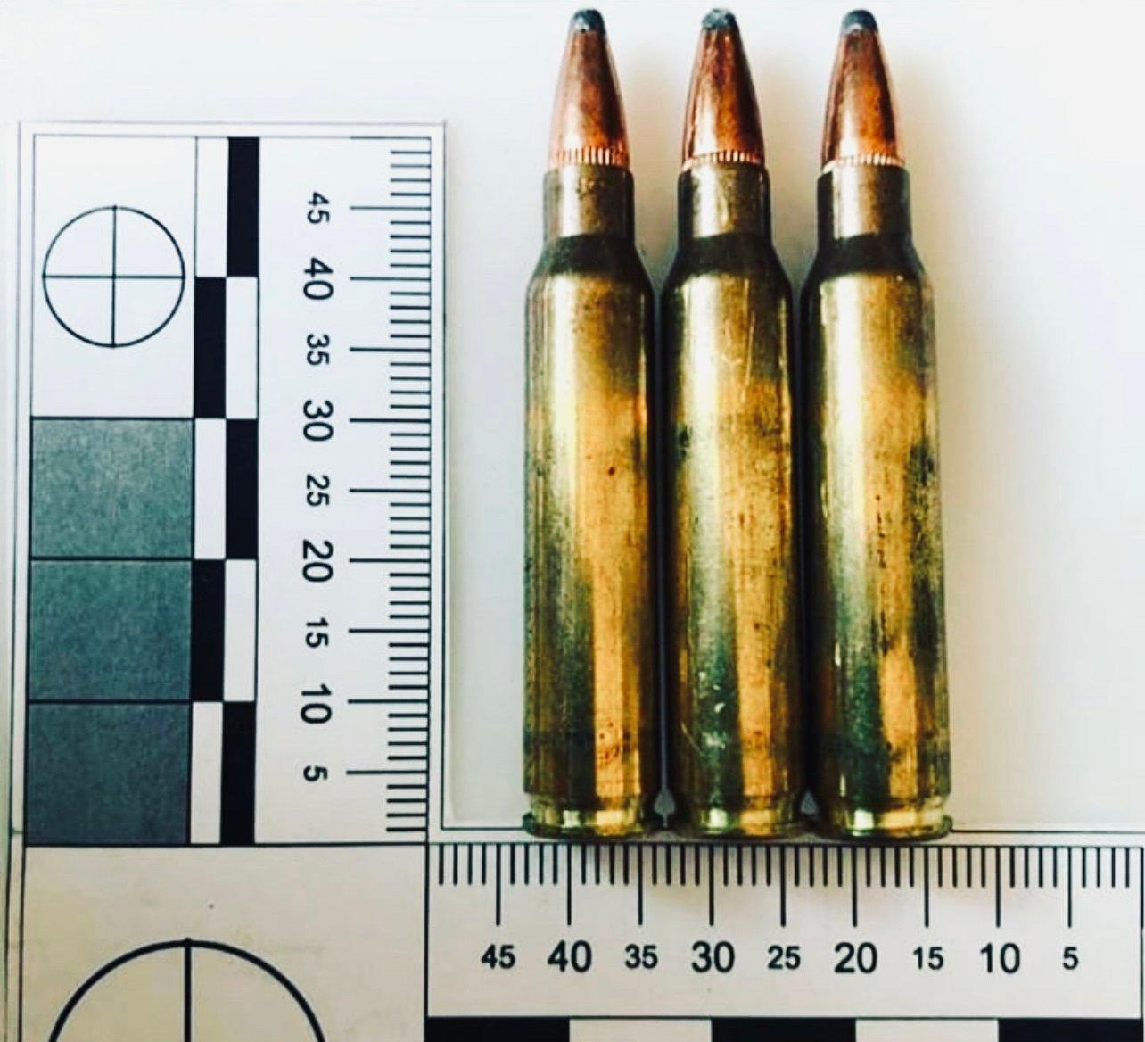 Калибр .223 Remington - маленький патрон с большой историей.