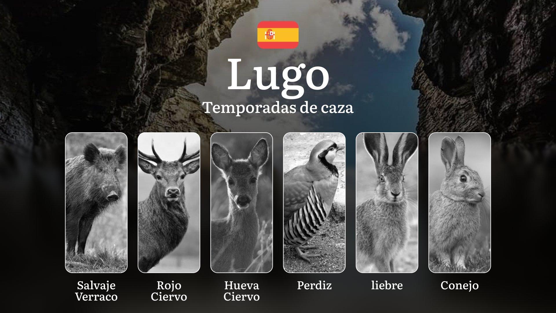 Temporadas y períodos de caza en LUGO: Fechas, Normativas y Épocas Ideales para la Práctica Cinegética