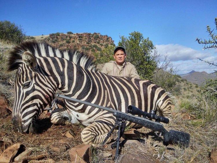 Zebra Trophy