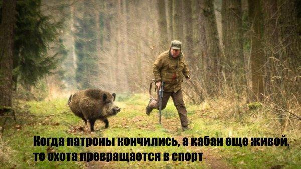Сколько стоит охота в Беларуси?