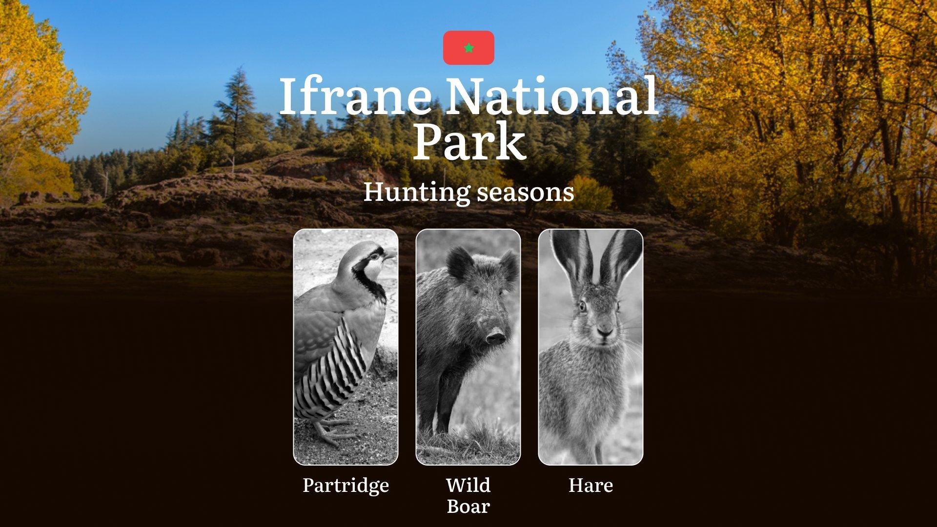 Ifrane National Park: Hunting Seasons and Timing, Regulations and Licensing, Required Documents and Procedures, Tips for Hunters