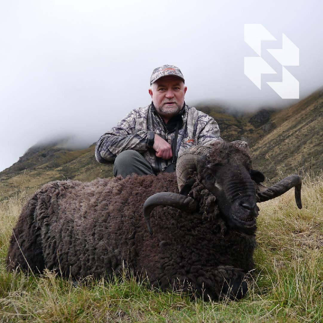 🇳🇿NOVI ZELAND u fokusu!