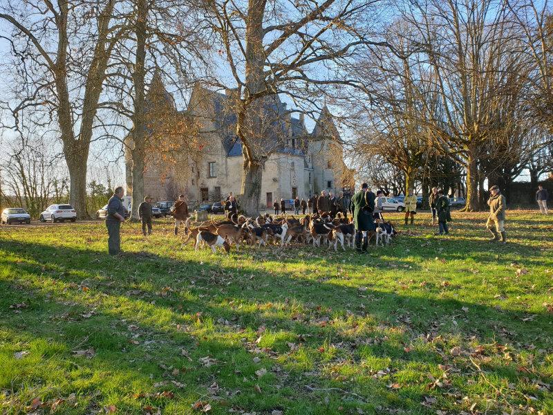 Chasse à courre au Chevagne #chasse