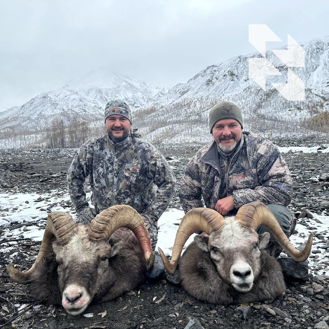 ❄️ Jakutska bighorn ovca