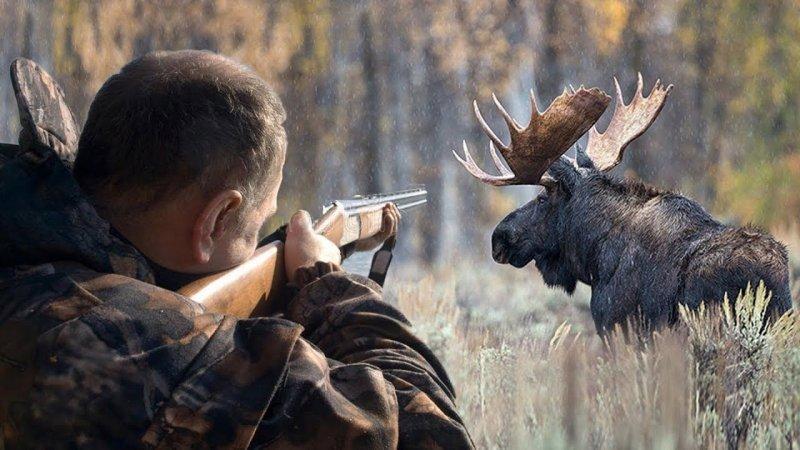 За 2023 год госинспекторами у браконьеров изъято более 430 незаконных орудий.