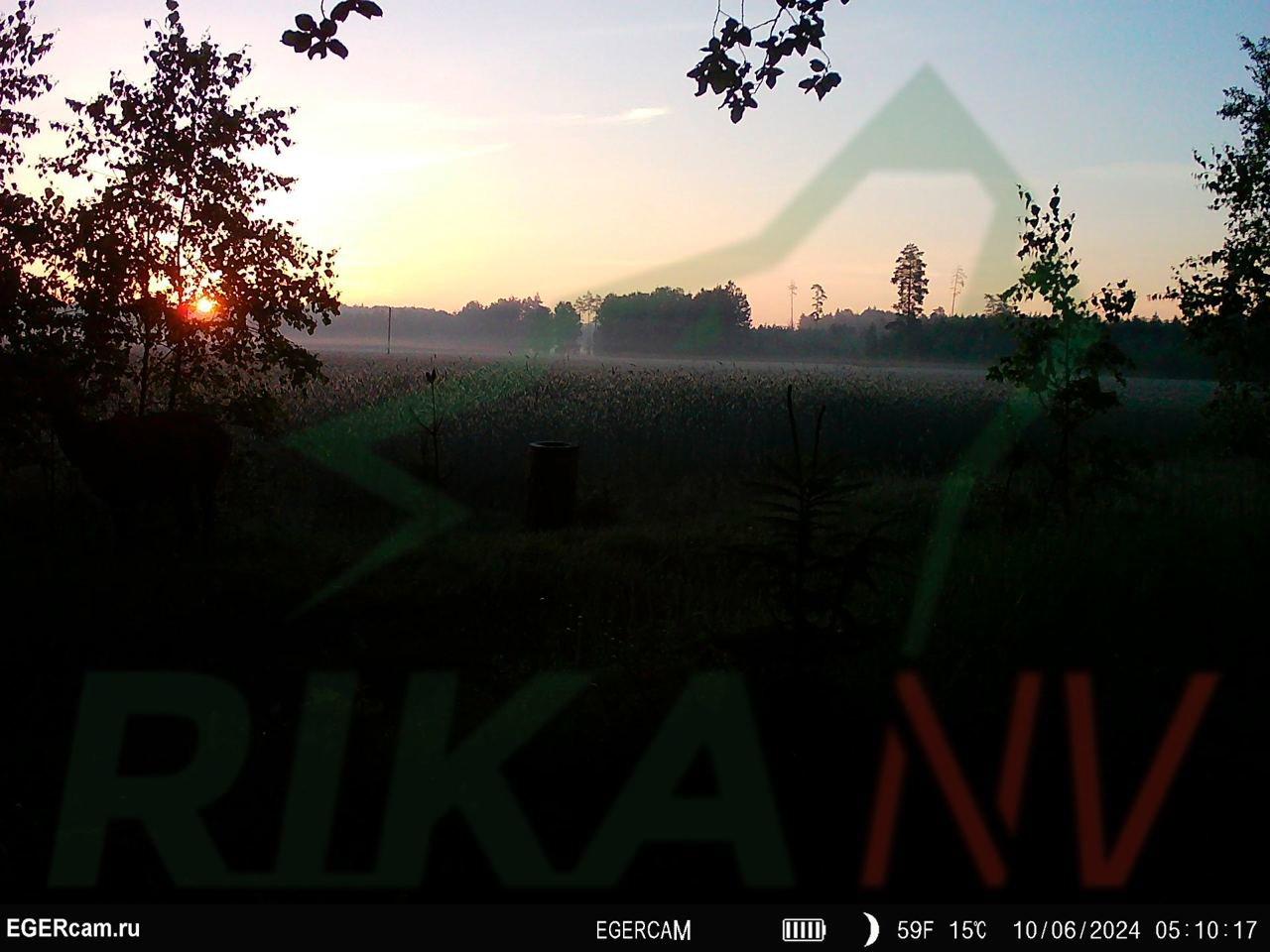 🐇📸Mali izbor atmosferskih snimaka sa hranilišta u zemlji, gdje lokalno stanovništvo dolazi danju i noću!