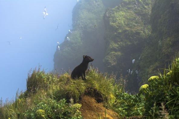 The Big Picture 2024 Photo Contest Finalists and Winners