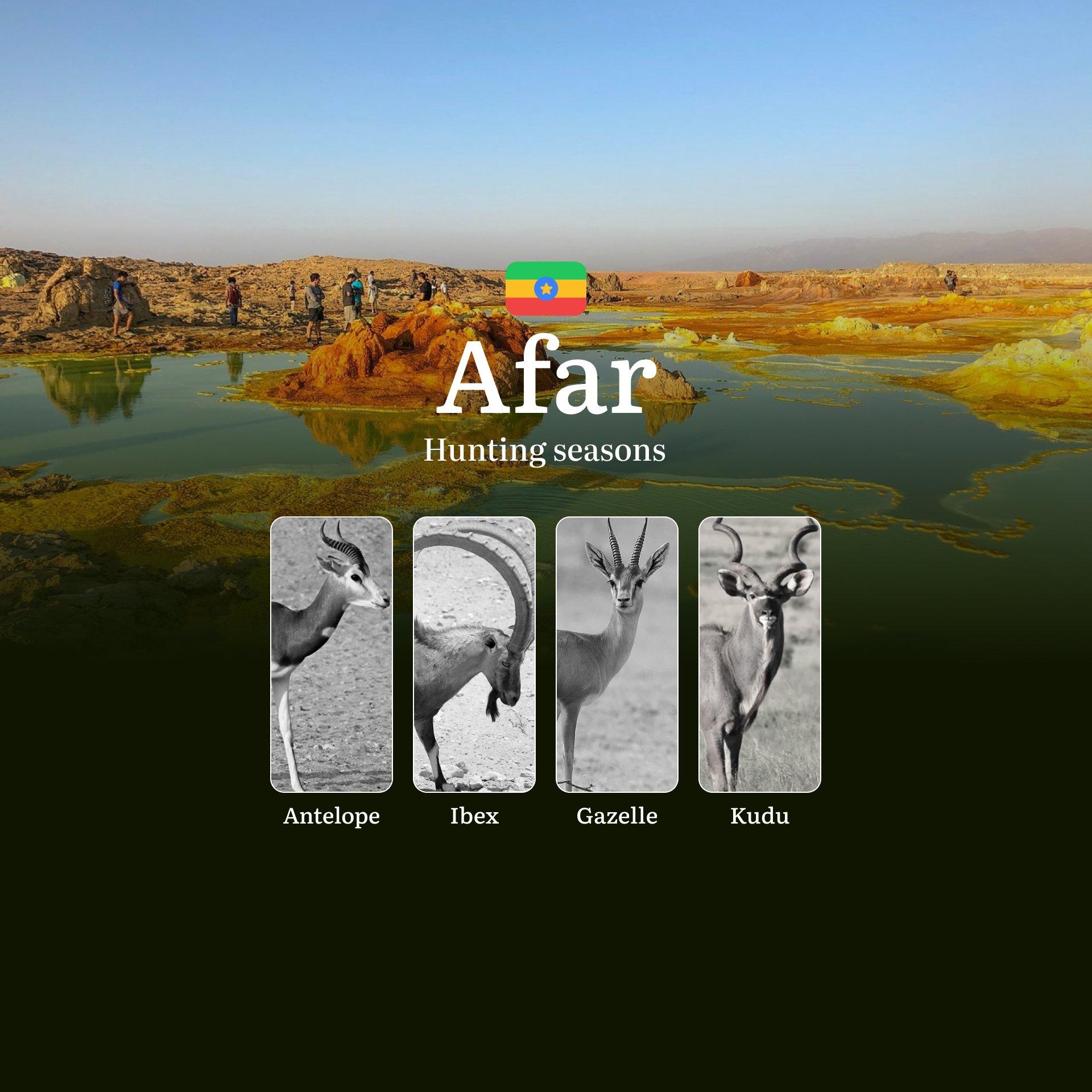 Hunting Seasons in Ethiopia, The AFAR Region: Restrictions, Bans, and Protected Species, Choosing Timing, Gear, and Tactics