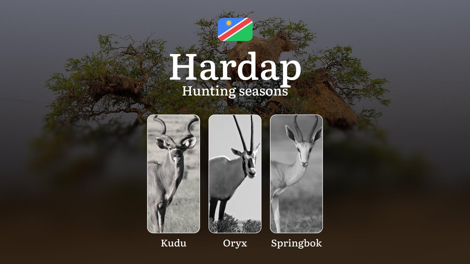 Seasonal Hunting Periods in Hardap: Year-Round Species Access, Game Activity by Season, and Getting Legal Permission to Participate