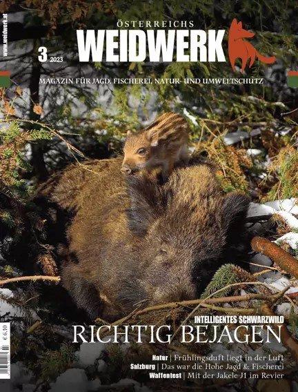 WEIDWERK