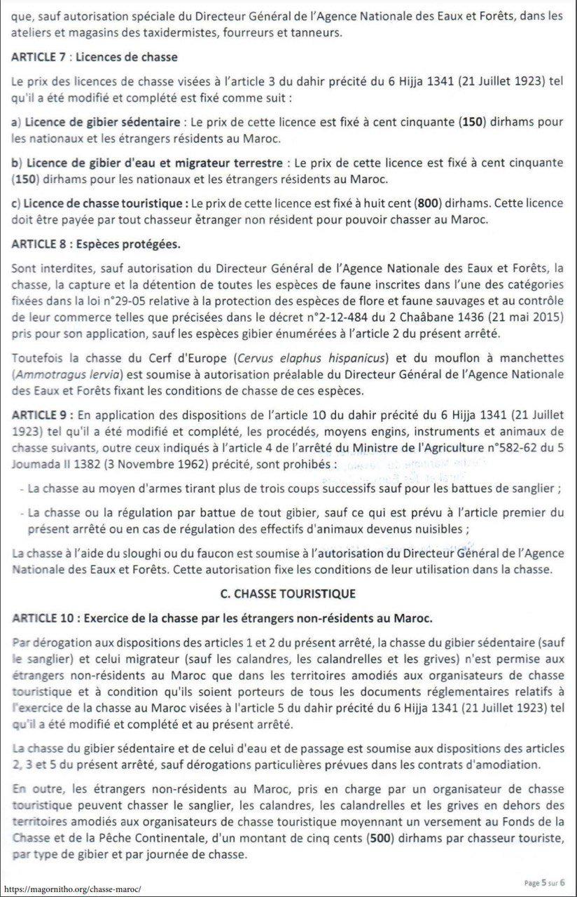 Arrêté de chasse au Maroc 2025 : toutes les dates, espèces autorisées, quotas et règles officielles