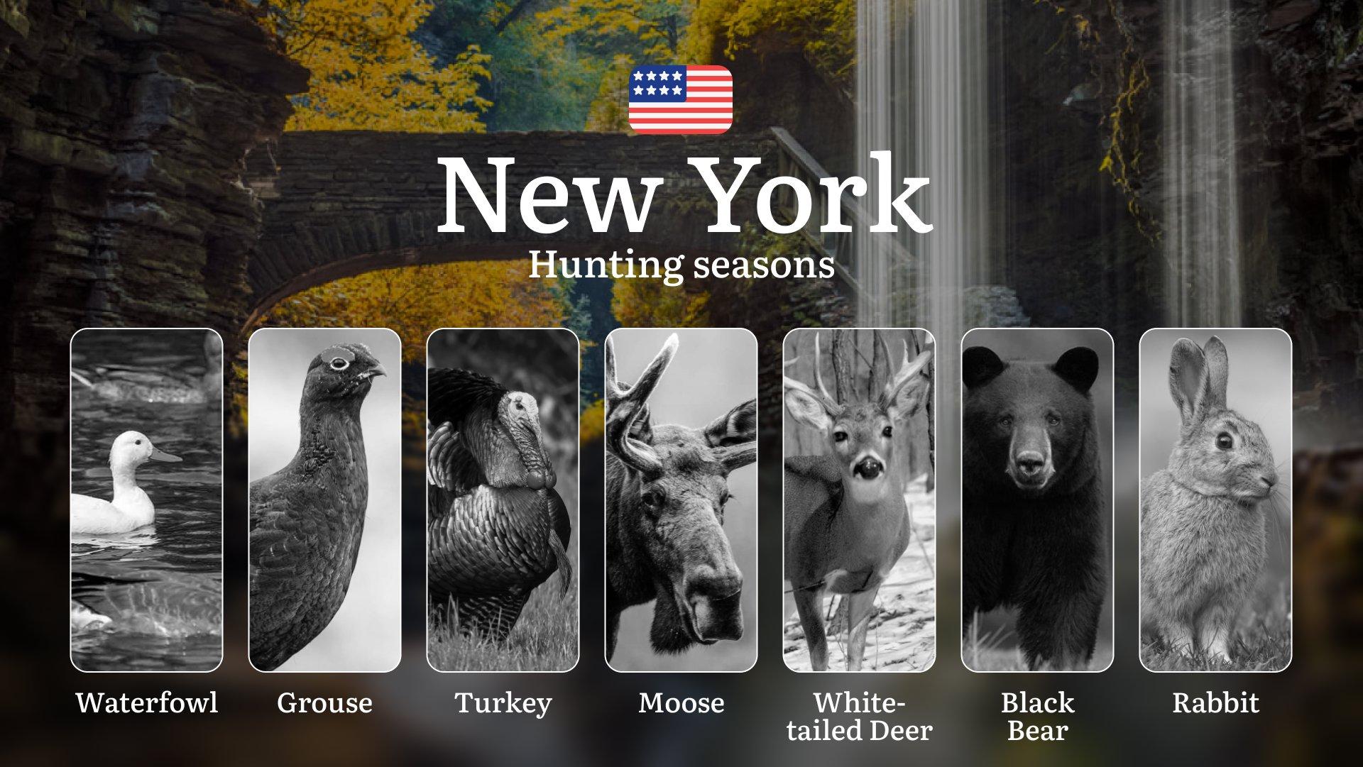 Seasons of Hunting in New York's Adirondacks: Hunting Periods, Licenses, Hunting Restrictions and Prohibited Species, Documents and Support from Clubs