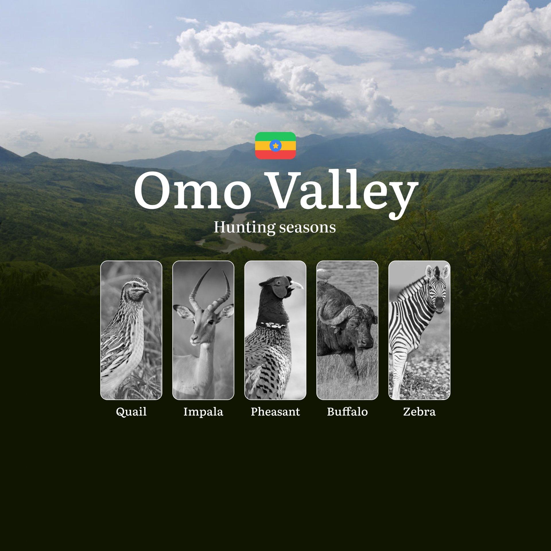 Hunting Seasons in Ethiopia’s OMO VALLEY: Hunting Periods, Times and Dates, Licenses, Rules, and Consequences for Violating Hunting