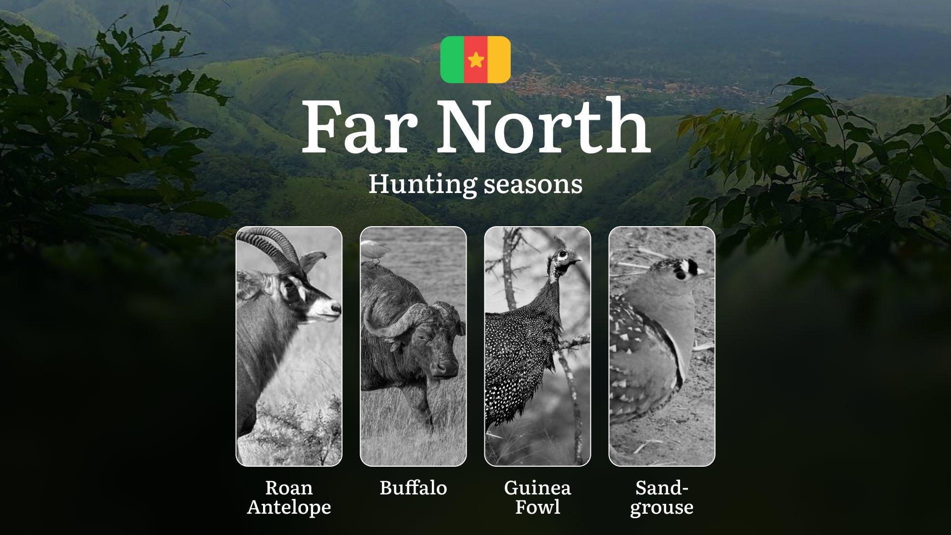 Hunting in Far North: Understanding Hunting Calendar, Legal Permits and Restrictions, Local Hunting Traditions